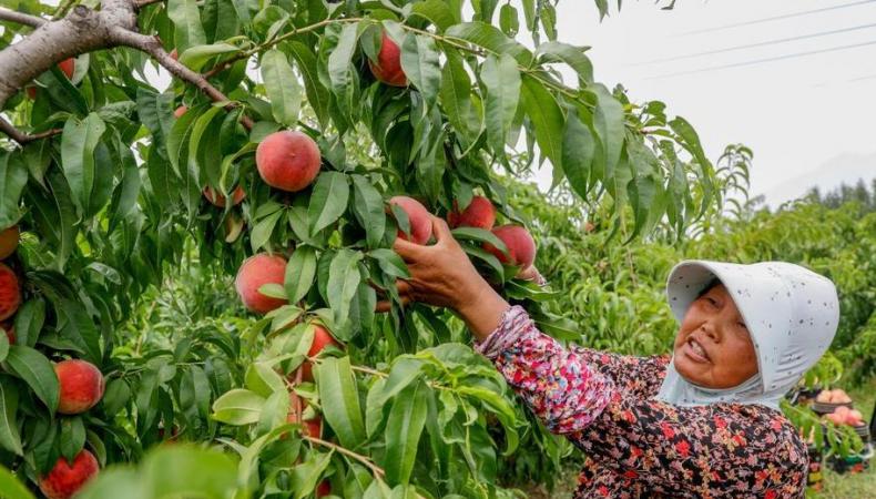 1662384134487358.jpg